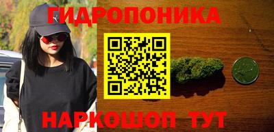 гашик Заводоуковск
