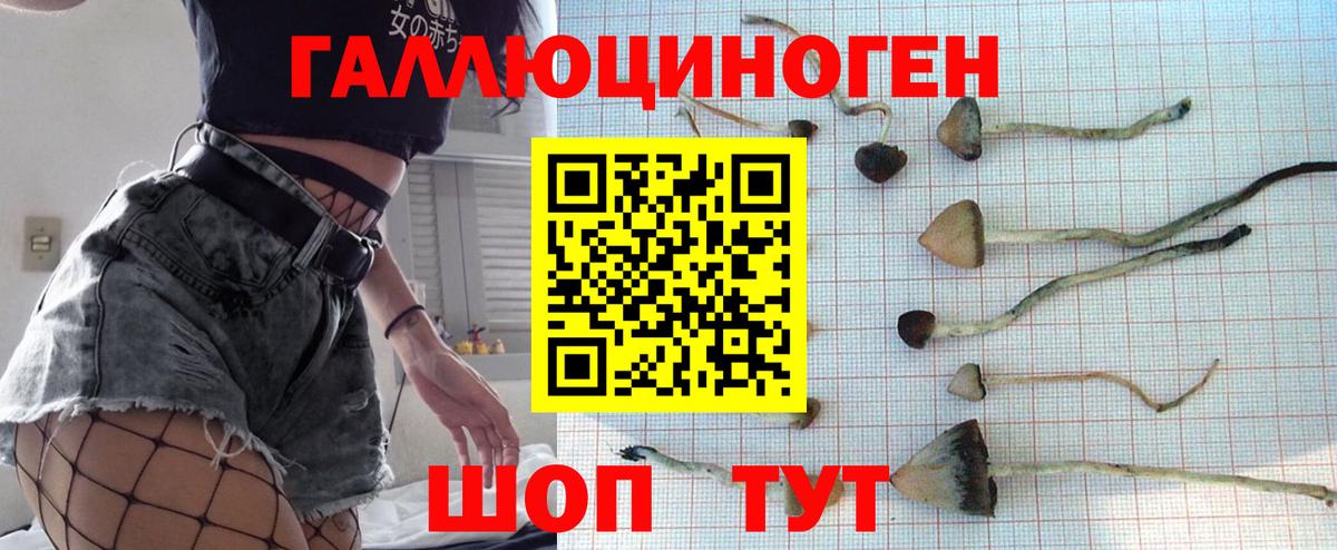 хочу   Псилоцибиновые грибы прущие грибы  Вход с VPN  Псилоцибиновые грибы Cubensis  Улан-Удэ 